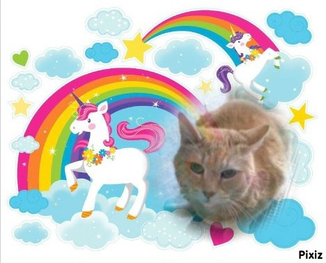 Bijou of the nyssen family