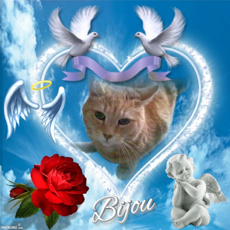 Bijou of the nyssen family