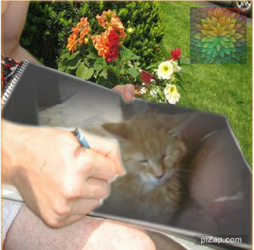 Bijou of the nyssen family