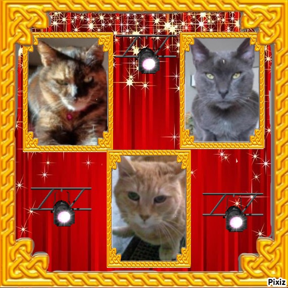 nyssen uploaded   91  day/s  ago