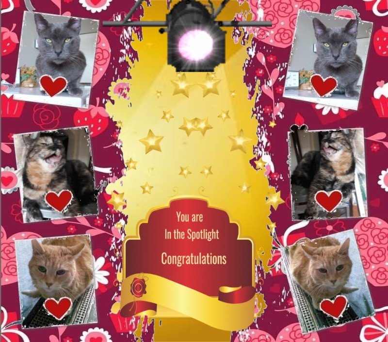 Bijou of the nyssen family