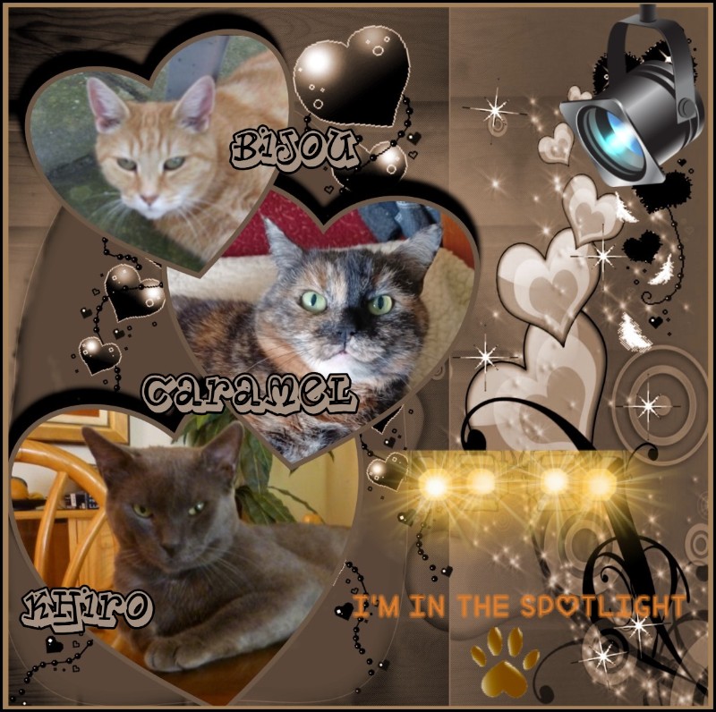 Bijou of the nyssen family