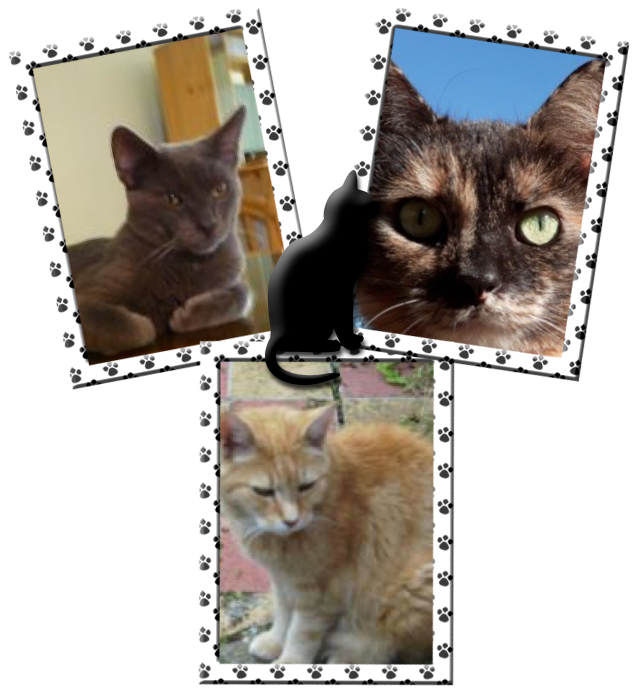 nyssen uploaded   93  day/s  ago