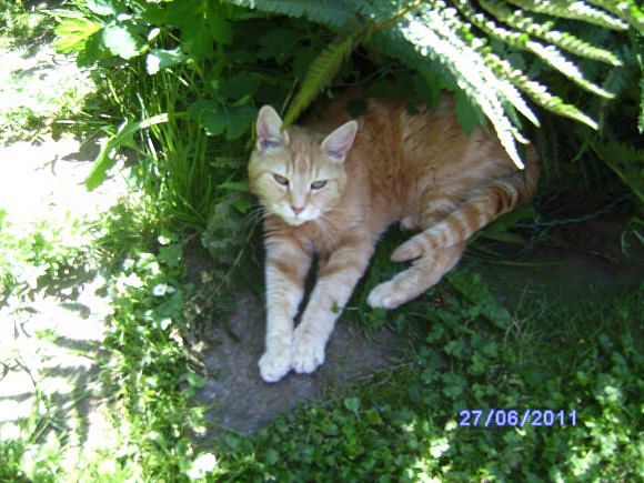 nyssen uploaded   12 year/s ago