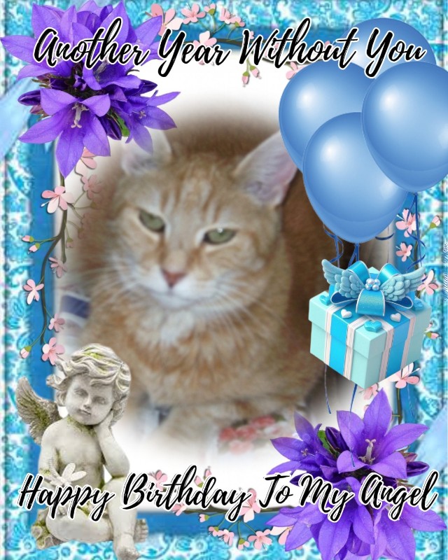 Bijou of the nyssen family