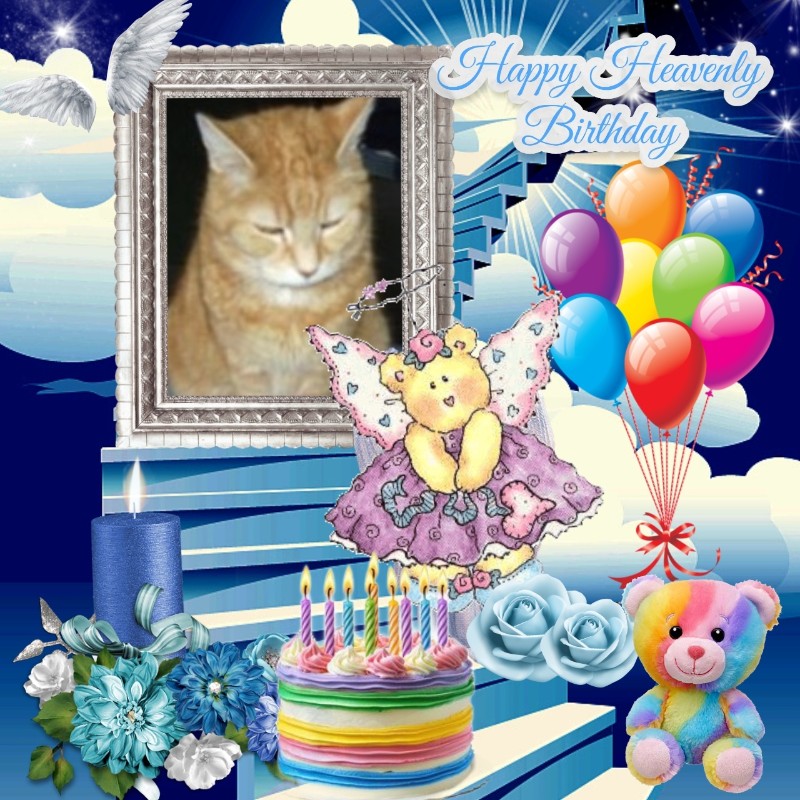 Bijou of the nyssen family