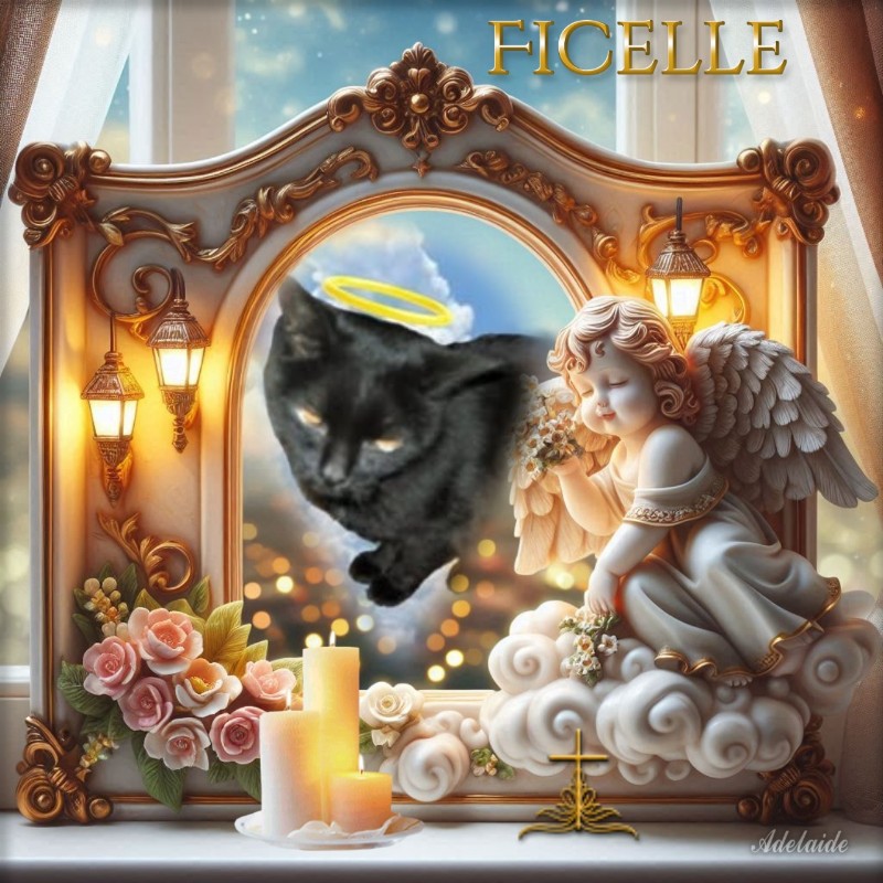 Ficelle of the nyssen family