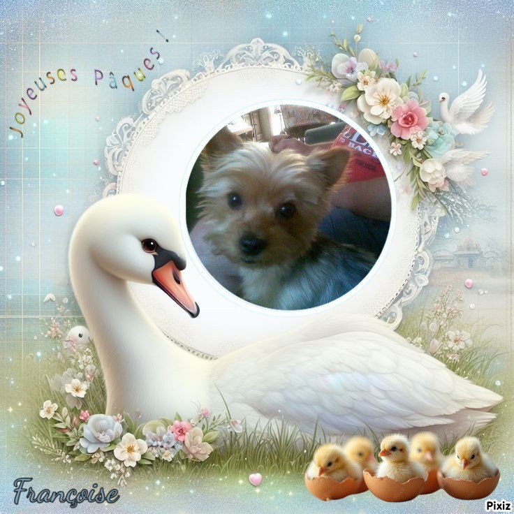 Wendy of the nyssen family