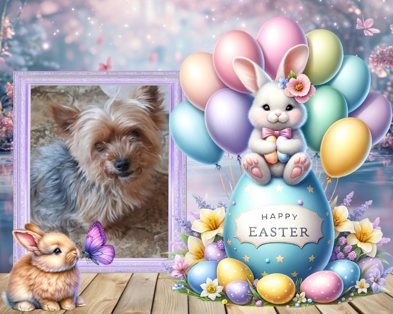 Wendy of the nyssen family