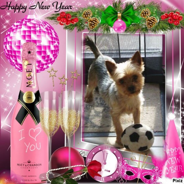 Wendy of the nyssen family