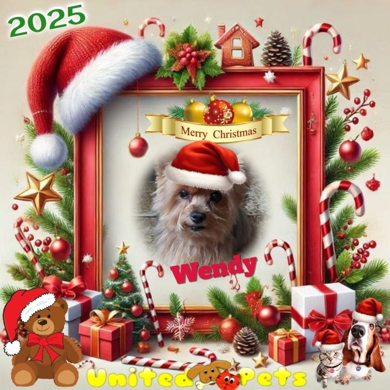 Wendy of the nyssen family