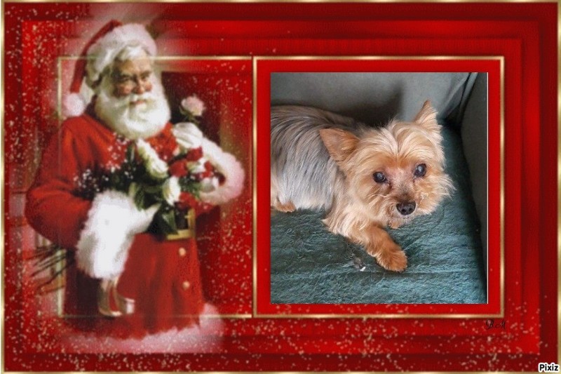 Wendy of the nyssen family