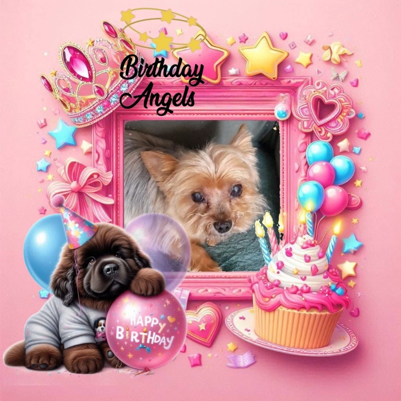 Wendy of the nyssen family