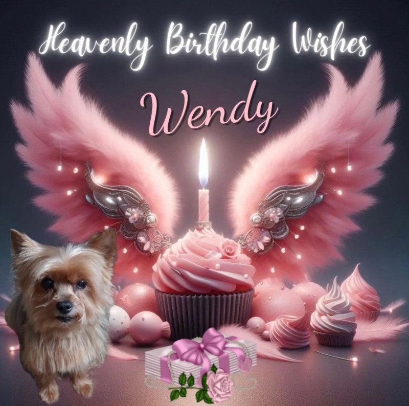 nyssen uploaded   89  day/s  ago