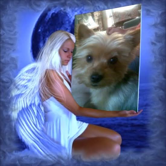 nyssen uploaded   89  day/s  ago