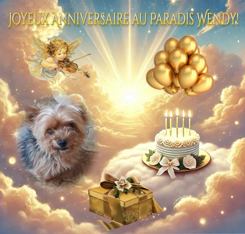 nyssen uploaded   89  day/s  ago