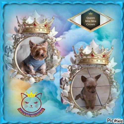 Wendy of the nyssen family