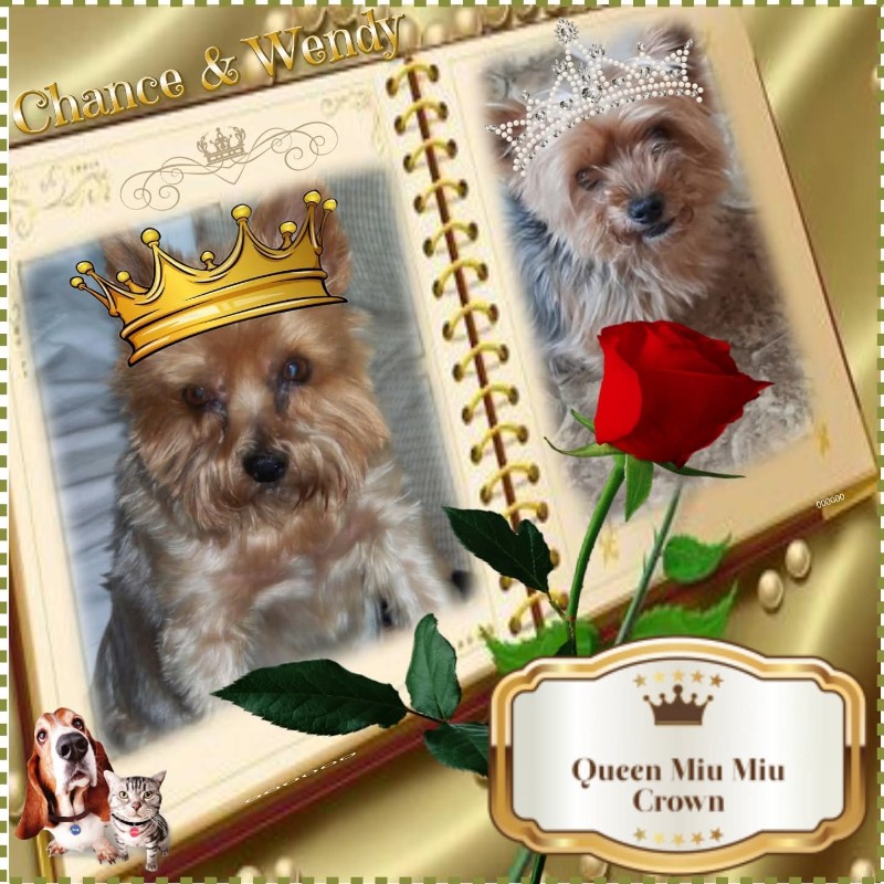 Wendy of the nyssen family