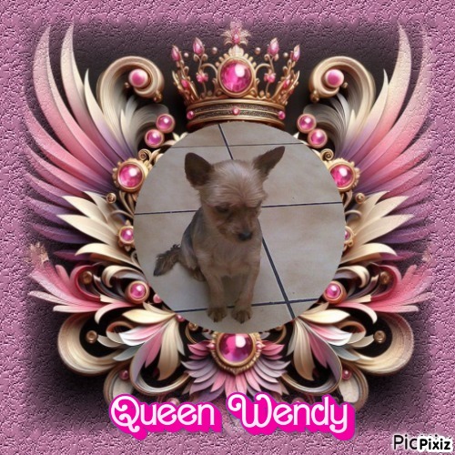 Wendy of the nyssen family