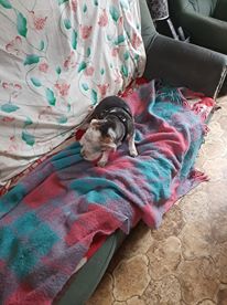 nyssen uploaded   5 year/s ago