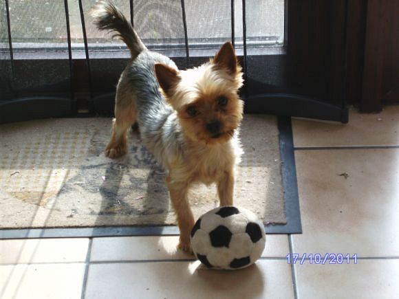 nyssen uploaded   12 year/s ago