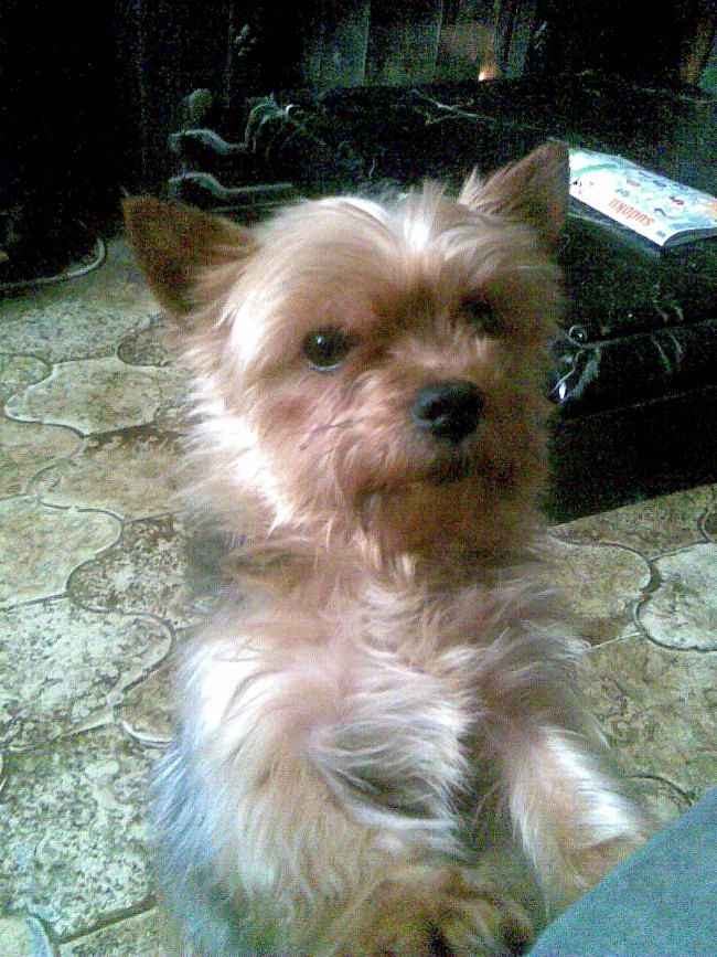 nyssen uploaded   11 year/s ago