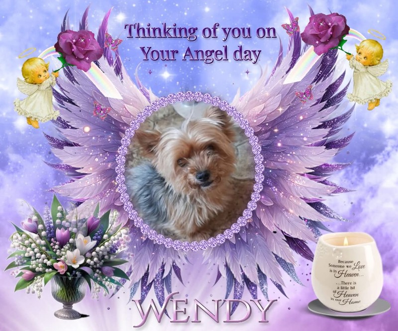 Wendy of the nyssen family