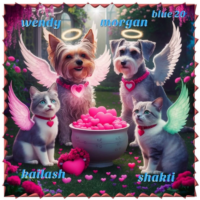 Wendy of the nyssen family