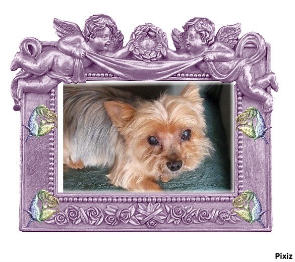 Wendy of the nyssen family