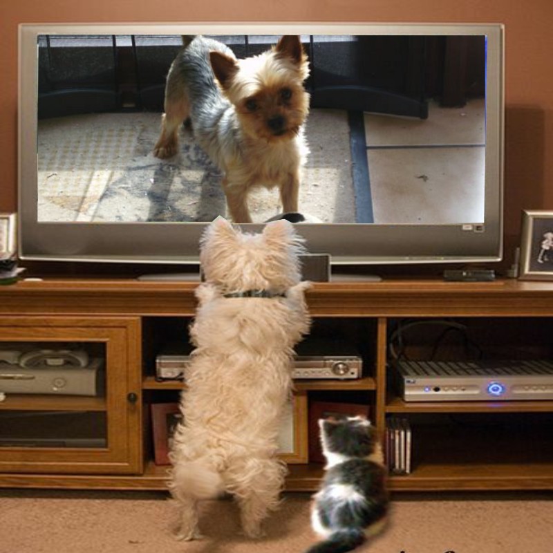 nyssen uploaded   2 hour/s ago