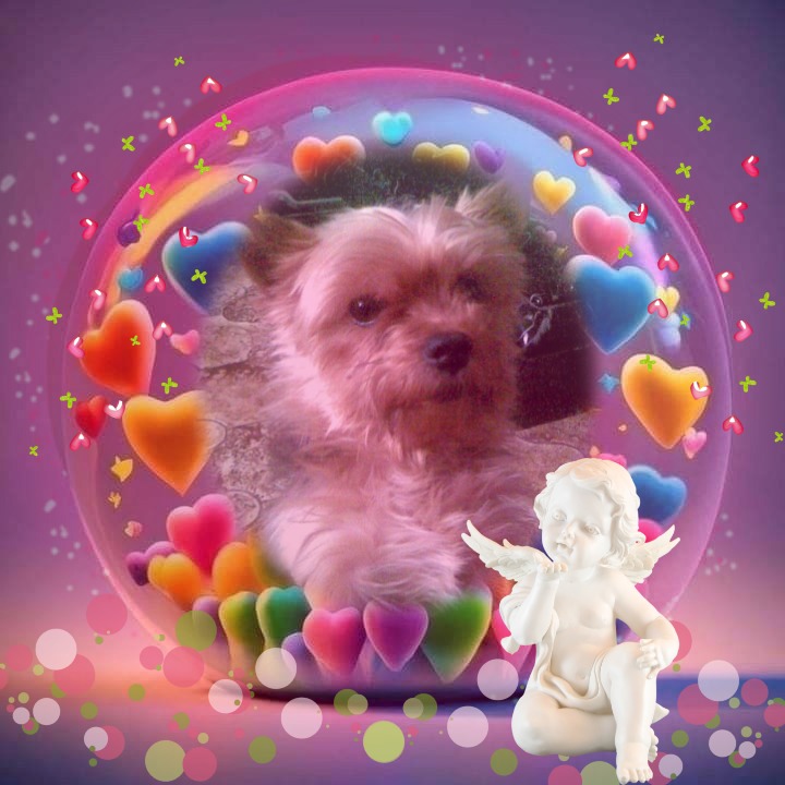 Wendy of the nyssen family