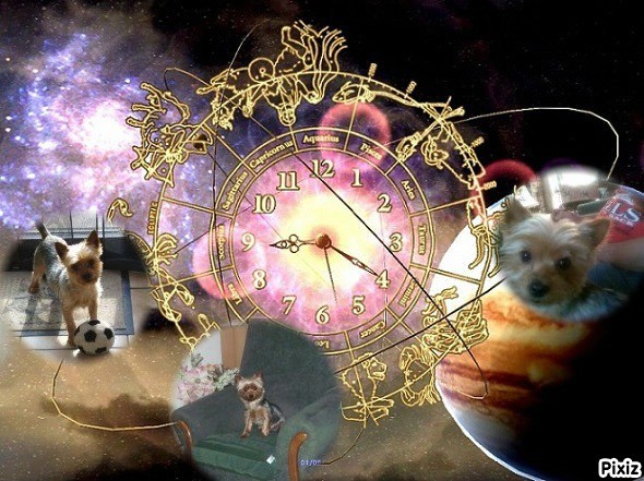 Wendy of the nyssen family