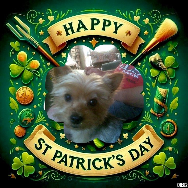 Wendy of the nyssen family