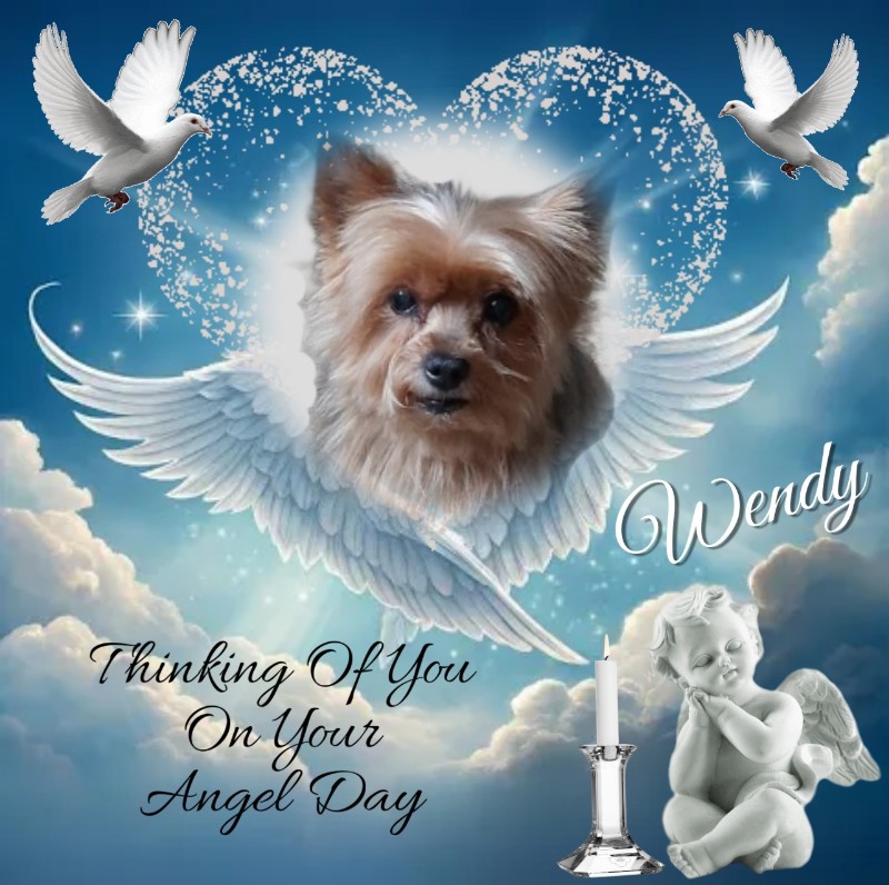 Wendy of the nyssen family