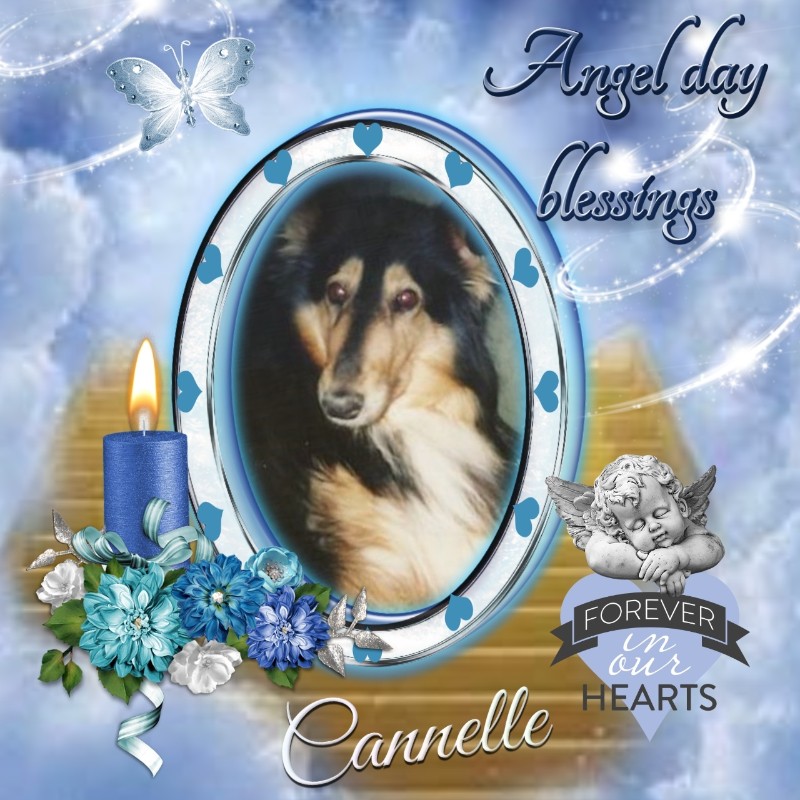 Cannelle of the nyssen family