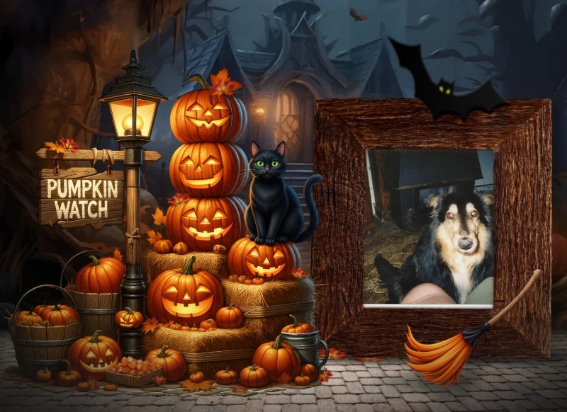 Cannelle of the nyssen family