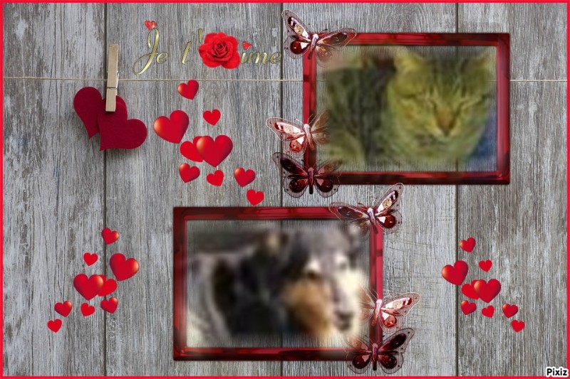 Cannelle of the nyssen family