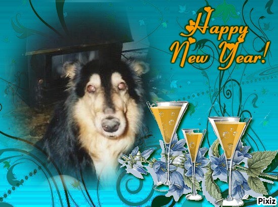 Cannelle of the nyssen family