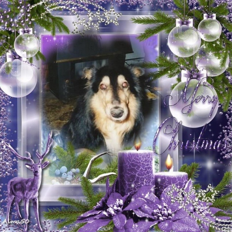 Cannelle of the nyssen family