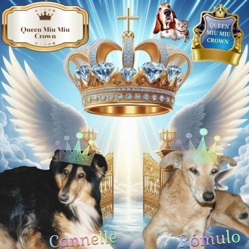 Cannelle of the nyssen family