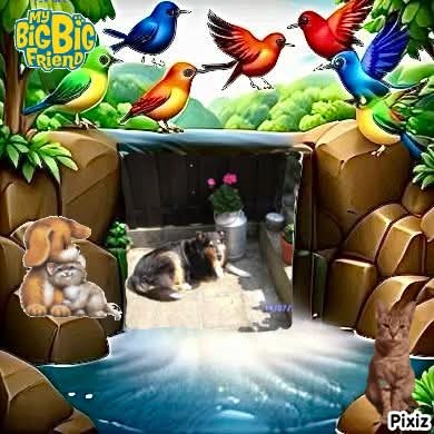 Cannelle of the nyssen family