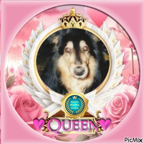 Cannelle of the nyssen family