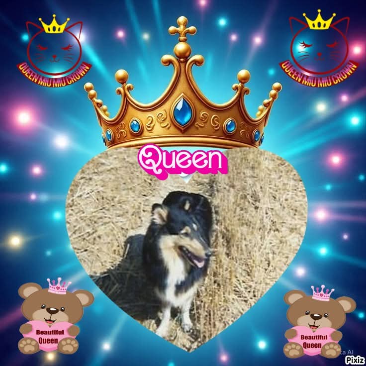 nyssen uploaded   8  day/s  ago