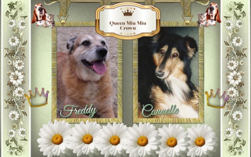 Cannelle of the nyssen family