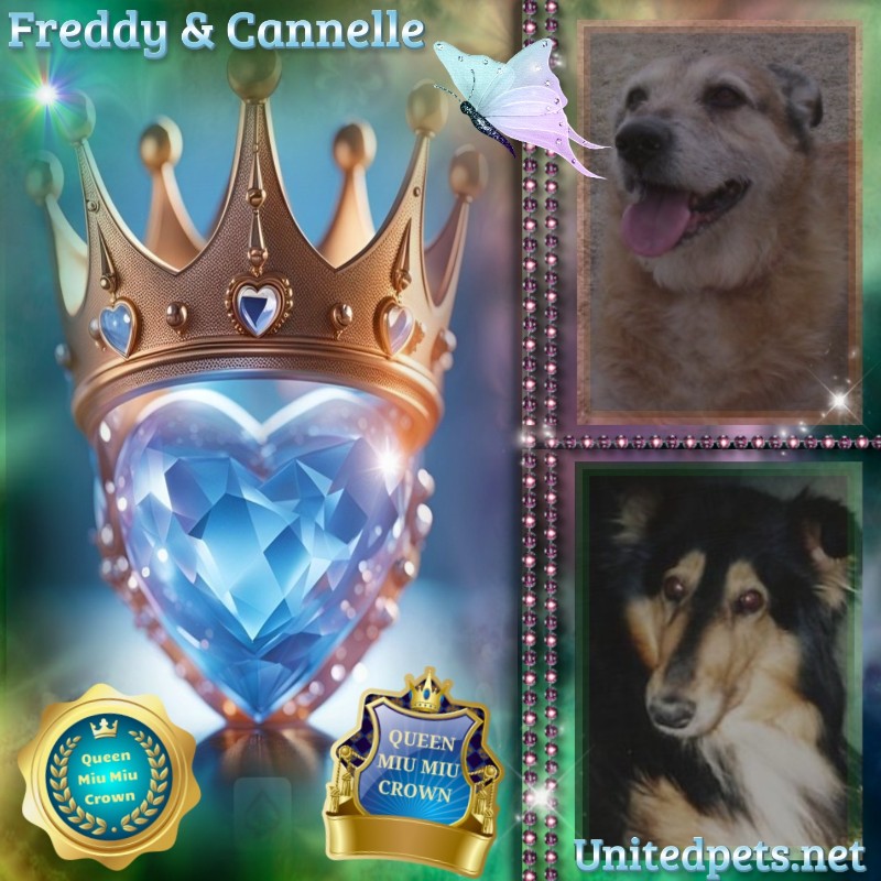 Cannelle of the nyssen family