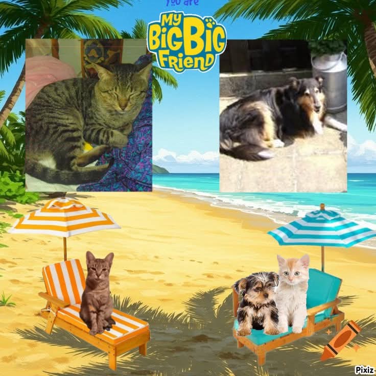 Cannelle of the nyssen family