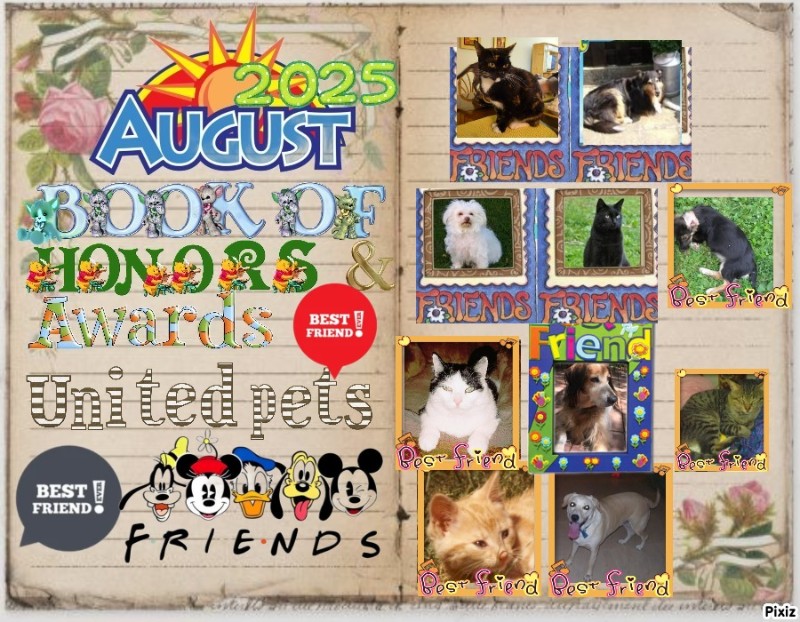 Cannelle of the nyssen family