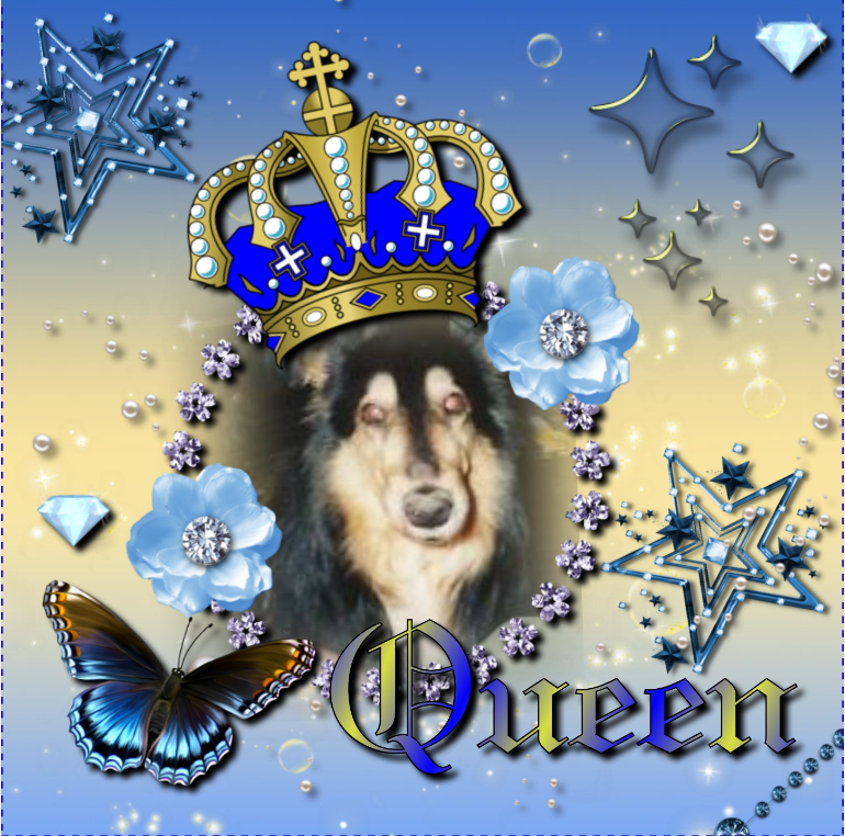 Cannelle of the nyssen family