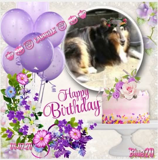 Cannelle of the nyssen family