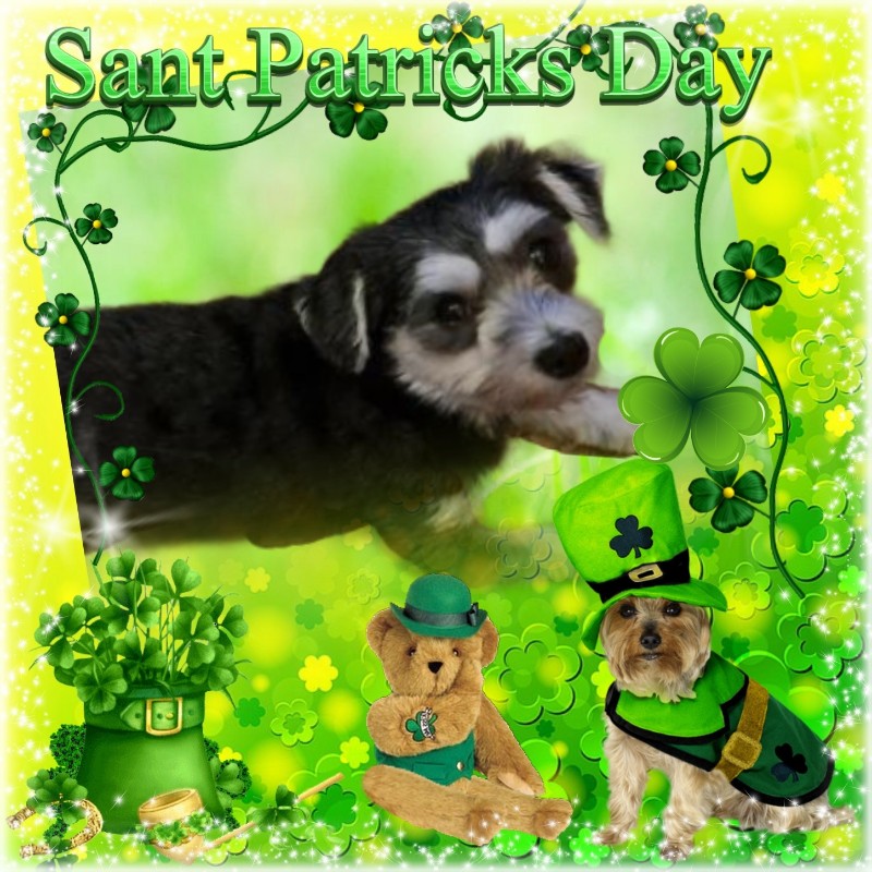 nyssen uploaded   32  day/s  ago